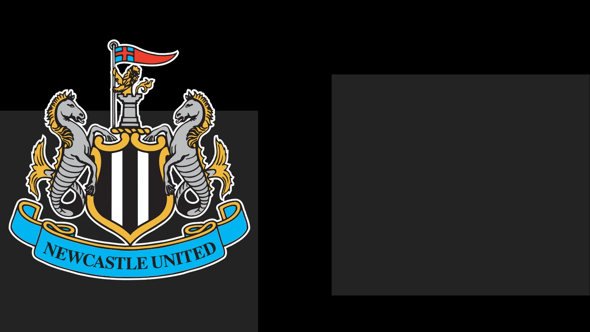 Newcastle Issue Apology to Fans Following Ticket Controversy