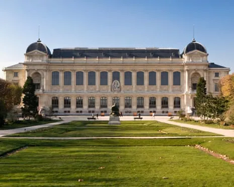 Priceless Gold Specimens Stolen in Bold Robbery at French Natural History Museum
