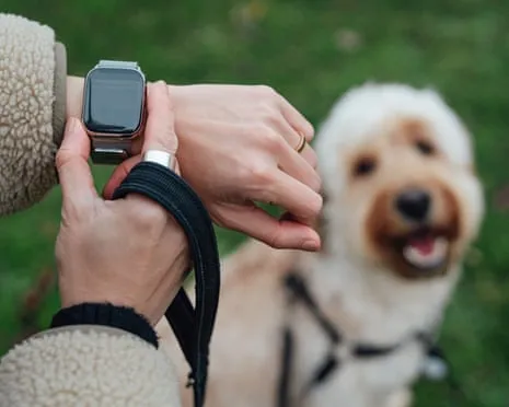 The Reality Regarding Fitness Trackers? Life Feels Fuller Without a Nagging Gadget on Your Wrist